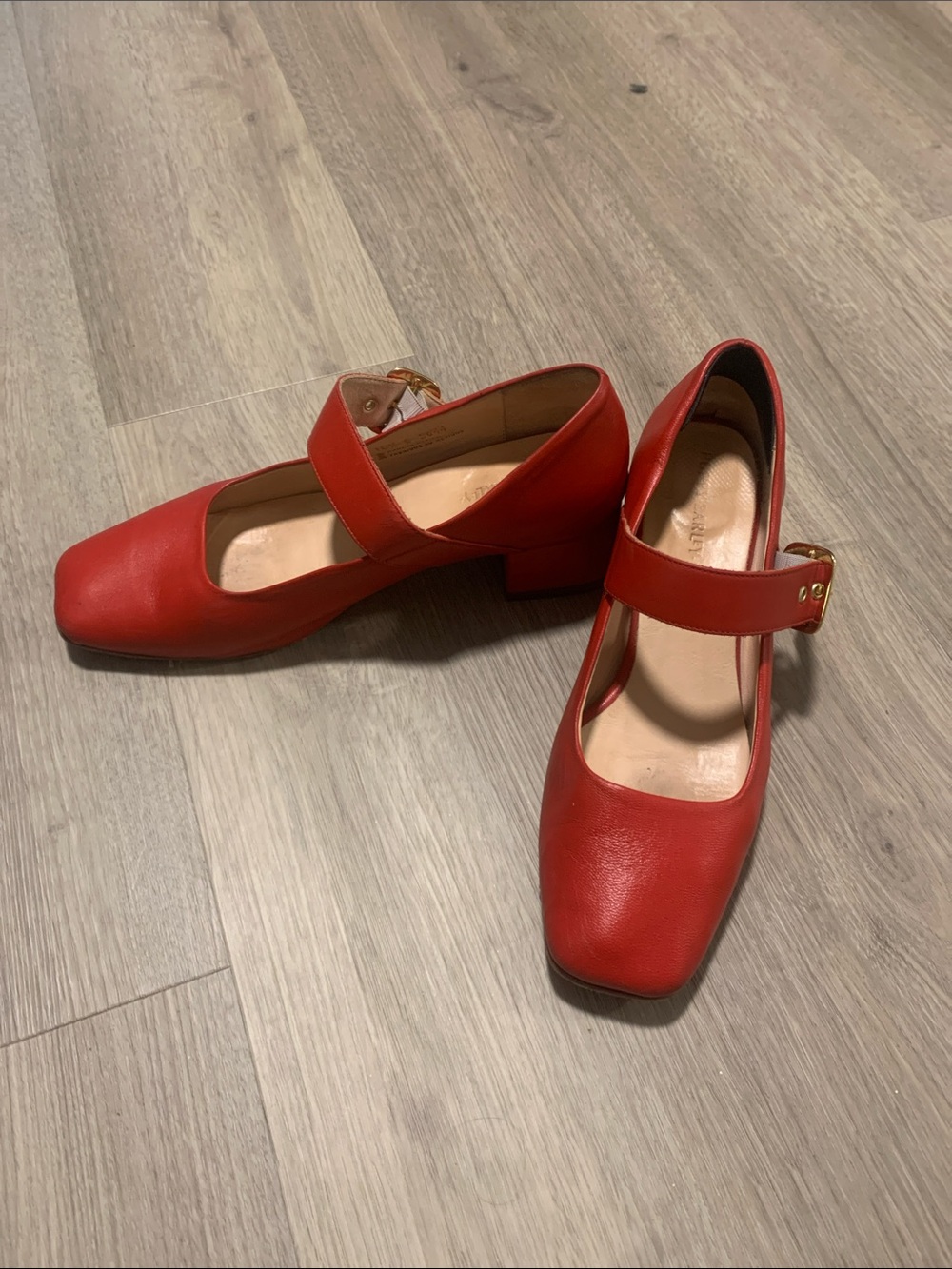 Poppy Barley Red Leather Mary Jane Block Heel Shoes